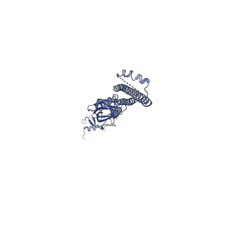 20488_6pv8_E_v1-3
Human alpha3beta4 nicotinic acetylcholine receptor in complex with AT-1001