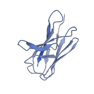 20488_6pv8_G_v1-3
Human alpha3beta4 nicotinic acetylcholine receptor in complex with AT-1001