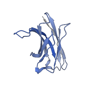 20488_6pv8_H_v1-3
Human alpha3beta4 nicotinic acetylcholine receptor in complex with AT-1001