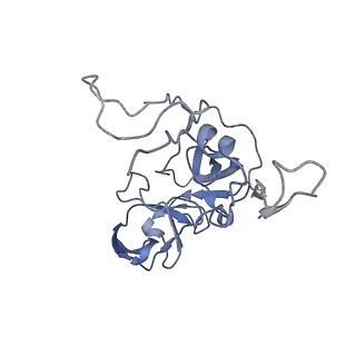 20491_6pvk_C_v1-2
Bacterial 45SRbgA ribosomal particle class A