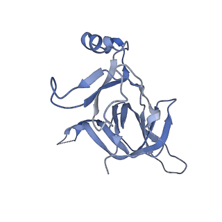 20491_6pvk_D_v1-3
Bacterial 45SRbgA ribosomal particle class A