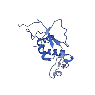 20491_6pvk_J_v1-2
Bacterial 45SRbgA ribosomal particle class A