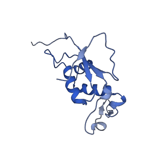 20491_6pvk_J_v1-3
Bacterial 45SRbgA ribosomal particle class A