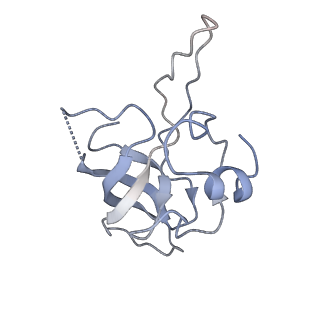 20491_6pvk_K_v1-2
Bacterial 45SRbgA ribosomal particle class A