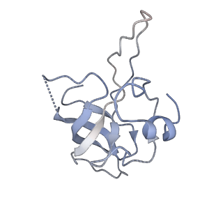 20491_6pvk_K_v1-3
Bacterial 45SRbgA ribosomal particle class A