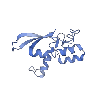 20491_6pvk_N_v1-2
Bacterial 45SRbgA ribosomal particle class A