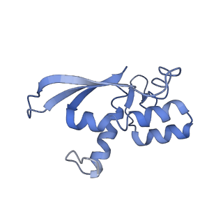 20491_6pvk_N_v1-3
Bacterial 45SRbgA ribosomal particle class A