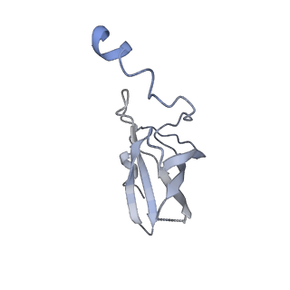 20491_6pvk_P_v1-2
Bacterial 45SRbgA ribosomal particle class A
