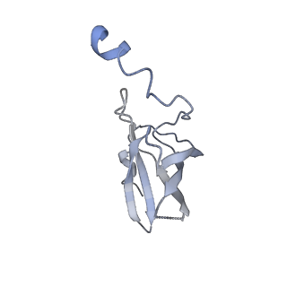 20491_6pvk_P_v1-3
Bacterial 45SRbgA ribosomal particle class A