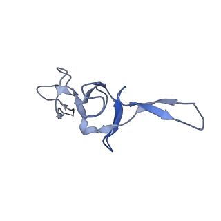 20491_6pvk_U_v1-2
Bacterial 45SRbgA ribosomal particle class A