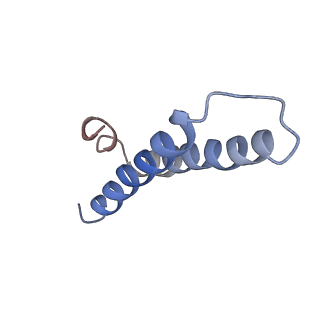 20491_6pvk_Y_v1-3
Bacterial 45SRbgA ribosomal particle class A