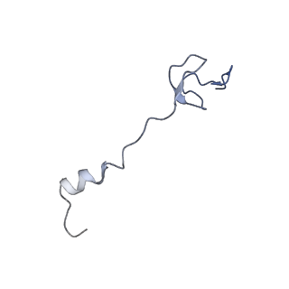 20491_6pvk_b_v1-3
Bacterial 45SRbgA ribosomal particle class A