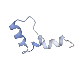 20491_6pvk_d_v1-3
Bacterial 45SRbgA ribosomal particle class A