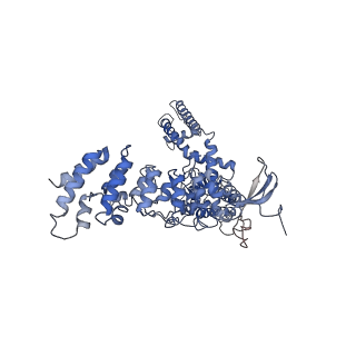 20492_6pvl_A_v1-3
Cryo-EM structure of mouse TRPV3 in closed state at 42 degrees Celsius