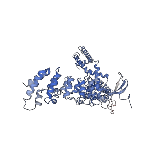 20492_6pvl_A_v1-4
Cryo-EM structure of mouse TRPV3 in closed state at 42 degrees Celsius