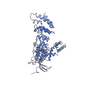 20492_6pvl_B_v1-4
Cryo-EM structure of mouse TRPV3 in closed state at 42 degrees Celsius