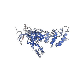 20492_6pvl_C_v1-3
Cryo-EM structure of mouse TRPV3 in closed state at 42 degrees Celsius