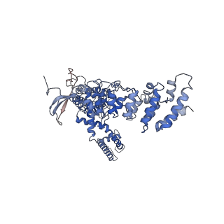 20492_6pvl_C_v1-4
Cryo-EM structure of mouse TRPV3 in closed state at 42 degrees Celsius