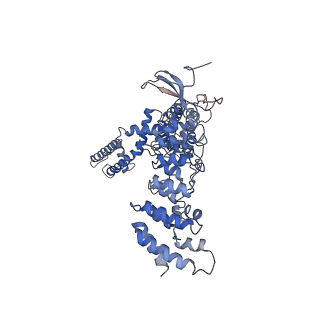 20492_6pvl_D_v1-3
Cryo-EM structure of mouse TRPV3 in closed state at 42 degrees Celsius