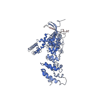 20492_6pvl_D_v1-4
Cryo-EM structure of mouse TRPV3 in closed state at 42 degrees Celsius