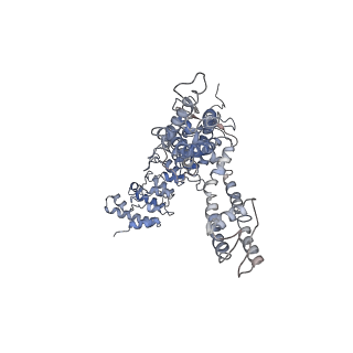 20493_6pvm_A_v1-4
Cryo-EM structure of mouse TRPV3 in putative sensitized state at 42 degrees Celsius