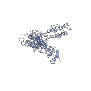 20493_6pvm_B_v1-4
Cryo-EM structure of mouse TRPV3 in putative sensitized state at 42 degrees Celsius