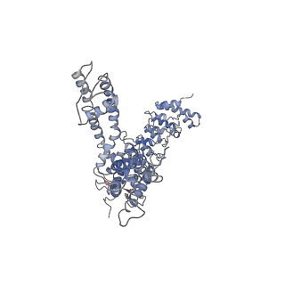 20493_6pvm_C_v1-4
Cryo-EM structure of mouse TRPV3 in putative sensitized state at 42 degrees Celsius