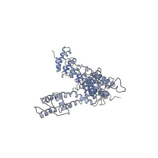 20493_6pvm_D_v1-4
Cryo-EM structure of mouse TRPV3 in putative sensitized state at 42 degrees Celsius