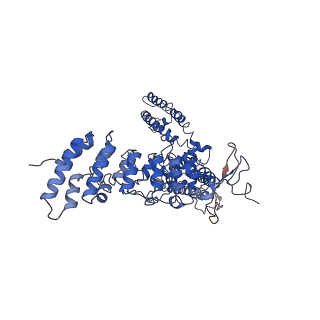20494_6pvn_A_v1-3
Cryo-EM structure of mouse TRPV3-Y564A in putative sensitized state at 4 degrees Celsius