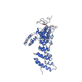 20494_6pvn_B_v1-4
Cryo-EM structure of mouse TRPV3-Y564A in putative sensitized state at 4 degrees Celsius