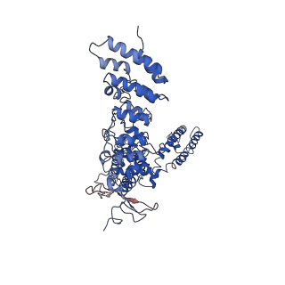 20494_6pvn_D_v1-4
Cryo-EM structure of mouse TRPV3-Y564A in putative sensitized state at 4 degrees Celsius