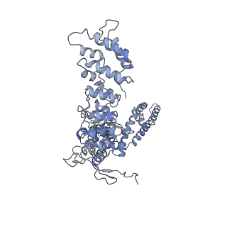 20496_6pvp_A_v1-3
Cryo-EM structure of mouse TRPV3-Y564A in open state at 37 degrees Celsius