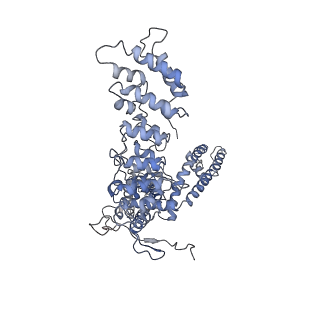 20496_6pvp_A_v1-4
Cryo-EM structure of mouse TRPV3-Y564A in open state at 37 degrees Celsius