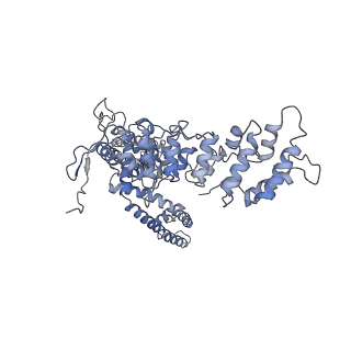 20496_6pvp_B_v1-3
Cryo-EM structure of mouse TRPV3-Y564A in open state at 37 degrees Celsius