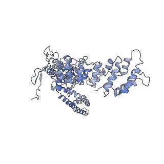 20496_6pvp_B_v1-4
Cryo-EM structure of mouse TRPV3-Y564A in open state at 37 degrees Celsius