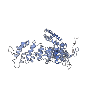 20496_6pvp_D_v1-3
Cryo-EM structure of mouse TRPV3-Y564A in open state at 37 degrees Celsius