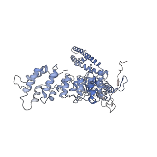 20496_6pvp_D_v1-4
Cryo-EM structure of mouse TRPV3-Y564A in open state at 37 degrees Celsius