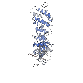 20497_6pvq_A_v1-3
Cryo-EM structure of mouse TRPV3-Y564A in intermediate state at 37 degrees Celsius