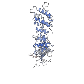 20497_6pvq_A_v1-4
Cryo-EM structure of mouse TRPV3-Y564A in intermediate state at 37 degrees Celsius