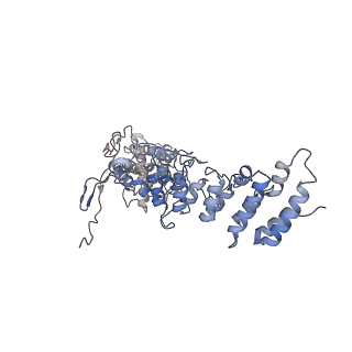 20497_6pvq_B_v1-3
Cryo-EM structure of mouse TRPV3-Y564A in intermediate state at 37 degrees Celsius