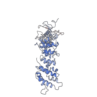 20497_6pvq_C_v1-3
Cryo-EM structure of mouse TRPV3-Y564A in intermediate state at 37 degrees Celsius