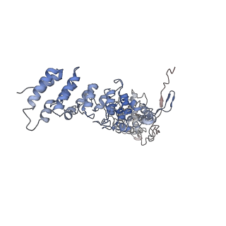 20497_6pvq_D_v1-4
Cryo-EM structure of mouse TRPV3-Y564A in intermediate state at 37 degrees Celsius