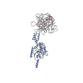 13675_7pw5_B_v1-0
Human SMG1-8-9 kinase complex with AlphaFold predicted SMG8 C-terminus, bound to a SMG1 inhibitor