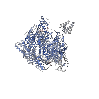 13677_7pw7_A_v1-0
Human SMG1-9 kinase complex bound to a SMG1 inhibitor