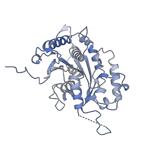 13677_7pw7_C_v1-0
Human SMG1-9 kinase complex bound to a SMG1 inhibitor