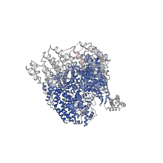 13679_7pw9_A_v1-0
Human SMG1-9 kinase complex bound to AMPPNP