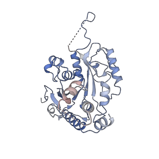 13679_7pw9_C_v1-0
Human SMG1-9 kinase complex bound to AMPPNP
