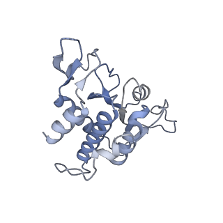 13680_7pwf_A_v1-0
Cryo-EM structure of small subunit of Giardia lamblia ribosome at 2.9 A resolution