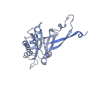 13680_7pwf_B_v1-0
Cryo-EM structure of small subunit of Giardia lamblia ribosome at 2.9 A resolution