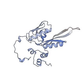 13680_7pwf_C_v1-0
Cryo-EM structure of small subunit of Giardia lamblia ribosome at 2.9 A resolution
